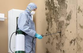 Mold Odor Removal Services in West Newton, PA